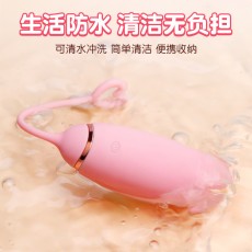 私人密码 潮小爱遥控跳蛋女用器具夫妻成人情趣用品5930